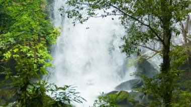 video 1080p - su büyük bir yükseklikten aşağı düşüyor. Orman şelale Tayland