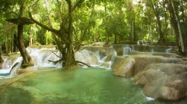 video 1080p - kouang si şelale, laos, luang prabang. ormanda akan su