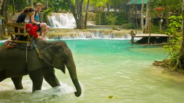 LUANG PRABANG, LAOS - CIRCA DIC 2013: Los turistas viajan en elefantes. Tal entretenimiento es un buen negocio para los locales — Vídeo de stock