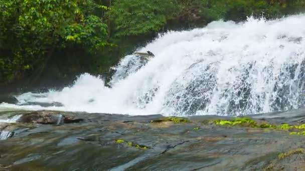 在泰国清莱附近的视频 1920 x 1080-瀑布。与平移拍摄 — 图库视频影像