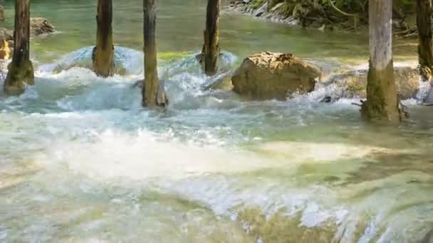 Video 1080p - Kouang Si Waterfall, Laos, Luang Prabang. El agua vierte sobre el suelo calcáreo entre los troncos de los árboles — Vídeo de stock