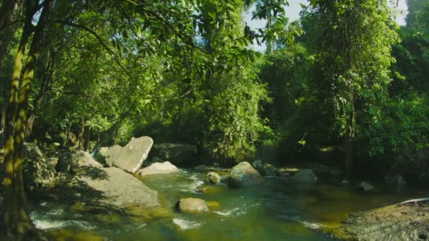 Videa 1080p - malé peřeje řeky v lesích v Kambodži — Stock video