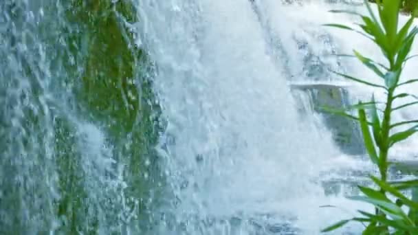 Видео 1080p - Водопад крупным планом. Распыление чистой воды и растений — стоковое видео