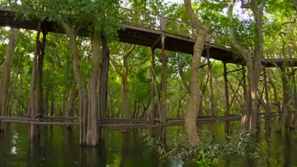 Video 1080p - Vista del alto puente de madera sobre el lago y el bosque. Camboya — Vídeos de Stock