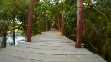 Video 1080p gölün ve ormanın üzerindeki yüksek bir köprüde koşmak tehlikeli. Kamboçya