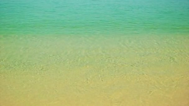 Video 1080p - Warm sea surf with clear water and golden sand — Stock Video