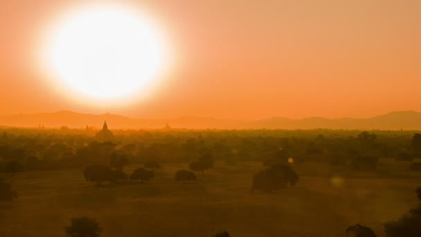 Video 1080p - Vista nocturna - complejo arquitectónico de Bagan en Birmania. He visto un rebaño de ganado — Vídeos de Stock