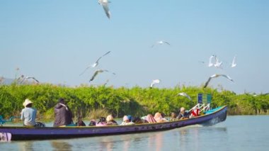 Inle Gölü, myanmar - Ocak 2014 yaklaşık: tekne Inle Gölü, martılar tarafından eşlik yönüne gidiyor.