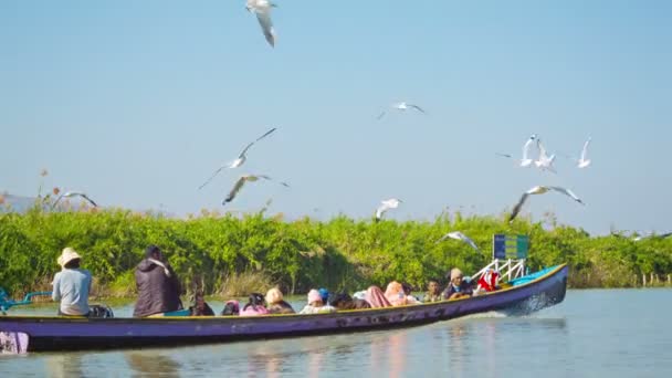 INLE LAKE, MYANMAR - CIRCA ENE 2014: El barco va en dirección al Lago Inle, acompañado de gaviotas — Vídeos de Stock
