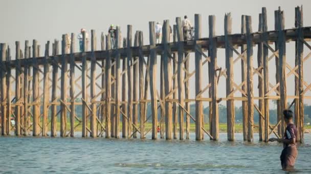 MANDALAY, MYANMAR - 13 JAN 2014: Local fisherman catches fish near teak wooden U Bein Bridge — Stock Video