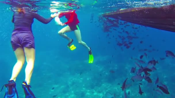 SIMILANS, THAILAND - CIRCA MAR 2014: Tourists snorkle near a wooden boat among the of tropical fishes — Stock Video