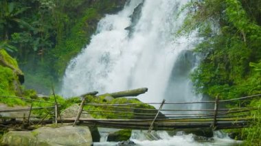 video 1080p - turist bir şelale bir arka plan üzerinde nehrin karşısına. Doi Inthanon Milli Parkı, Tayland