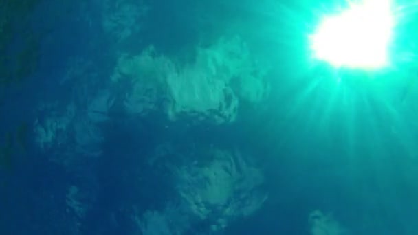 Wideo 1920 x 1080 - człowiek z rurką w morzu ciepła. widok z dna morza — Wideo stockowe