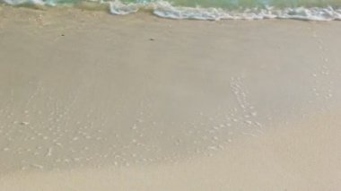 video 1080p - kumlu bir plaj sörf kadın ayakları