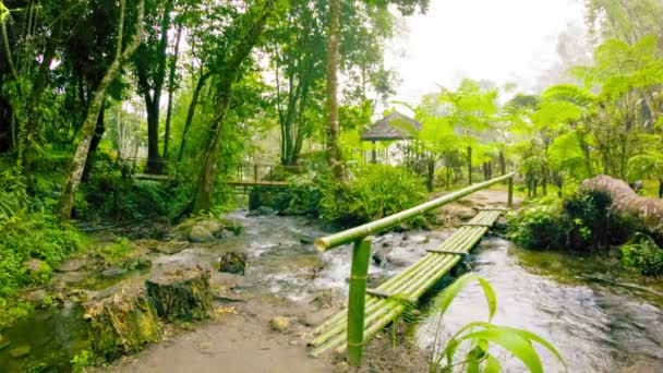 Видео 1080p - маленький бамбуковый мост на туристической тропе. Таиланд, Chiang Mai — стоковое видео