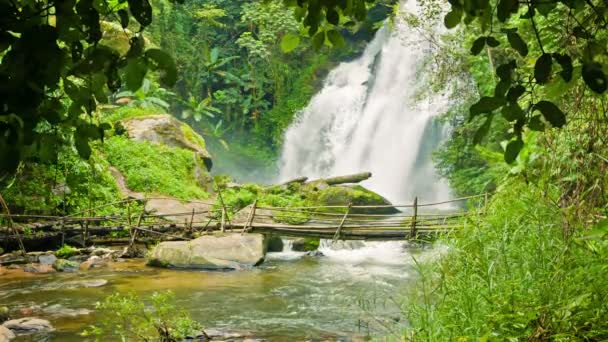 Video 1080p - liten flod med vattenfall och bambu bron i skogen. Chiang mai, thailand — Stockvideo