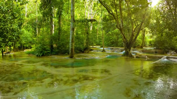 Video 1080p - Potok u Kouang Si Vodopád, Laos, Luang Prabang — Stock video