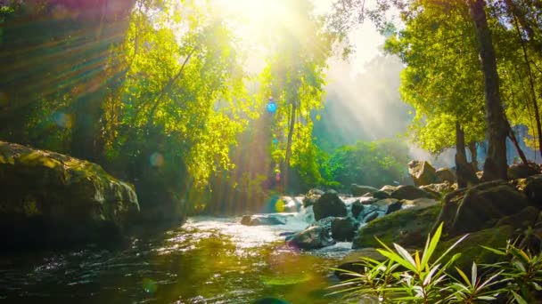 ビデオ 1080 - プノンペン kulen 国立公園内の滝の近くの小川。カンボジア、シェムリ アップ — ストック動画