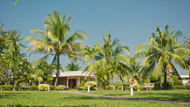 Vídeo 1080p - Território do hotel tropical em um dia quente — Vídeo de Stock