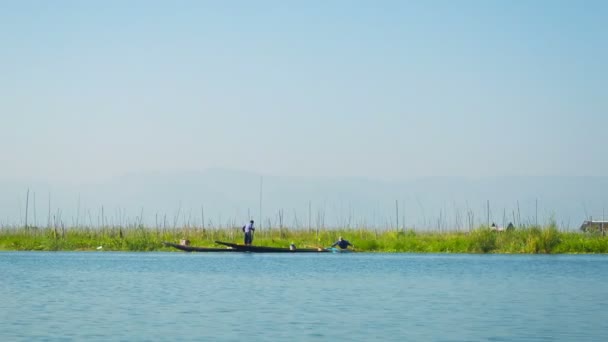 Videa 1080p - plantáže na jezeře inle vodu. Myanmar — Stock video