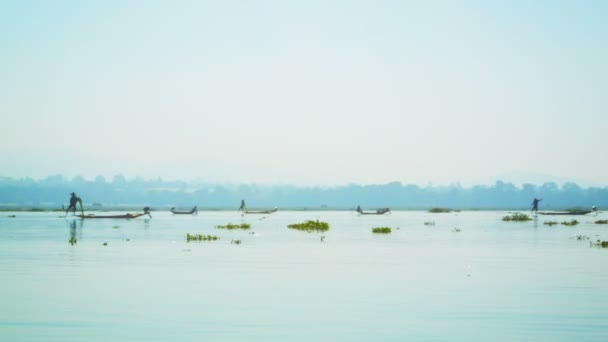 Video 1920 x 1080 - många lokala fiskare. Burma, inle lake — Stockvideo