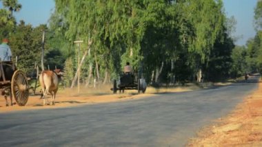 Bagan alanı, myanmar-12 Ocak 2014: adam öküz arabası büyük varil taşıma tatlı su