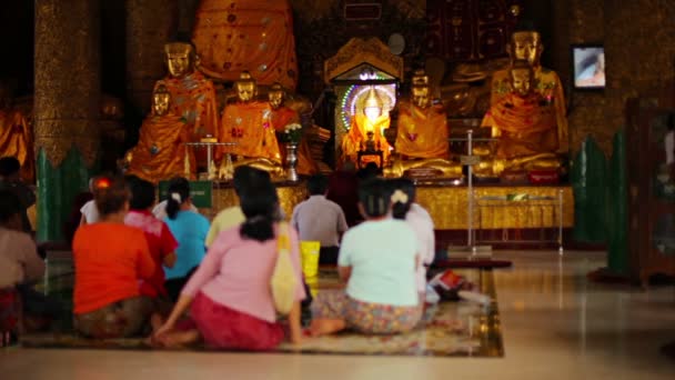 仰光，缅甸-2014 年 1 月 3 日： 在殿里祷告的人。shwedagon zedi 昂山 — 图库视频影像