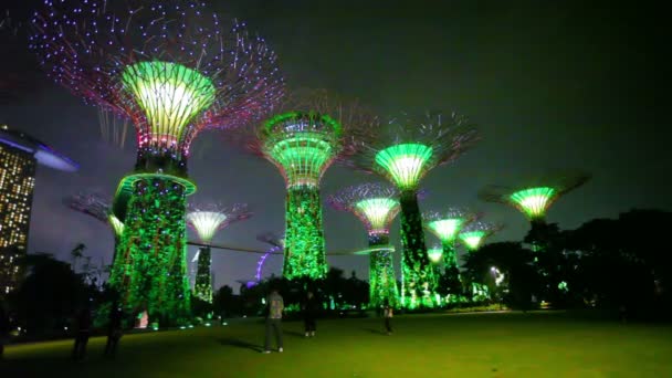 SINGAPORE - CIRCA DEC 2013: Jardins perto da Baía em altura. Luz e show de música. Um alto nível de ruído digital no vídeo — Vídeo de Stock