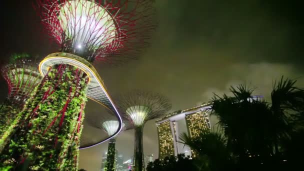 SINGAPOUR - CIRCA DEC 2013 : Jardins au bord de la baie à hauteur. Panorama avec des super-arbres éclatants contre le ciel nocturne — Video