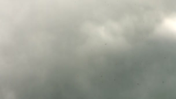 Vídeo 1080p - Gnats em um céu nublado de fundo — Vídeo de Stock