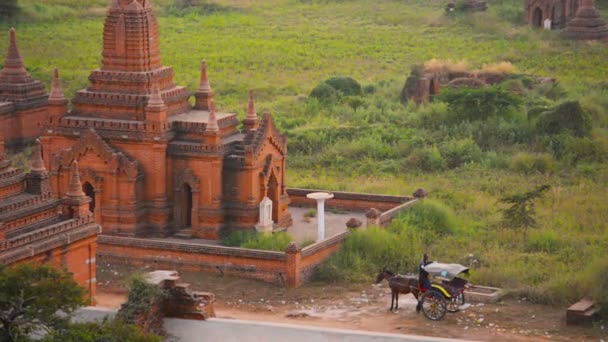 Vídeo 1080p - Carruagem de cavalo aguarda os turistas perto das ruínas dos templos antigos. Birmânia, Bagan — Vídeo de Stock
