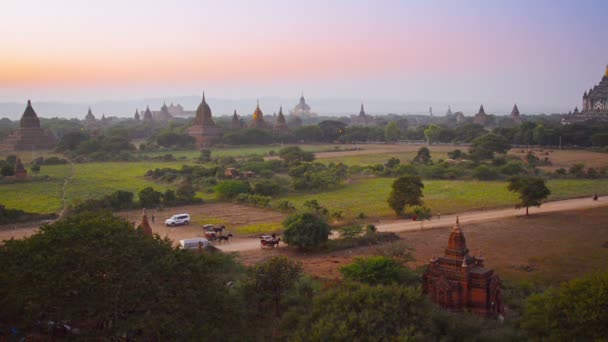 Vídeo 1080p - Carruagens puxadas por cavalos levam turistas para hotéis ao pôr-do-sol. Birmânia, Bagan — Vídeo de Stock