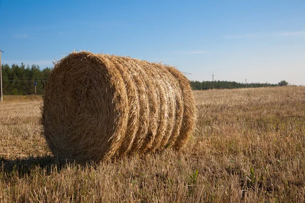 Golden Hay paalit maaseudulla — kuvapankkivalokuva