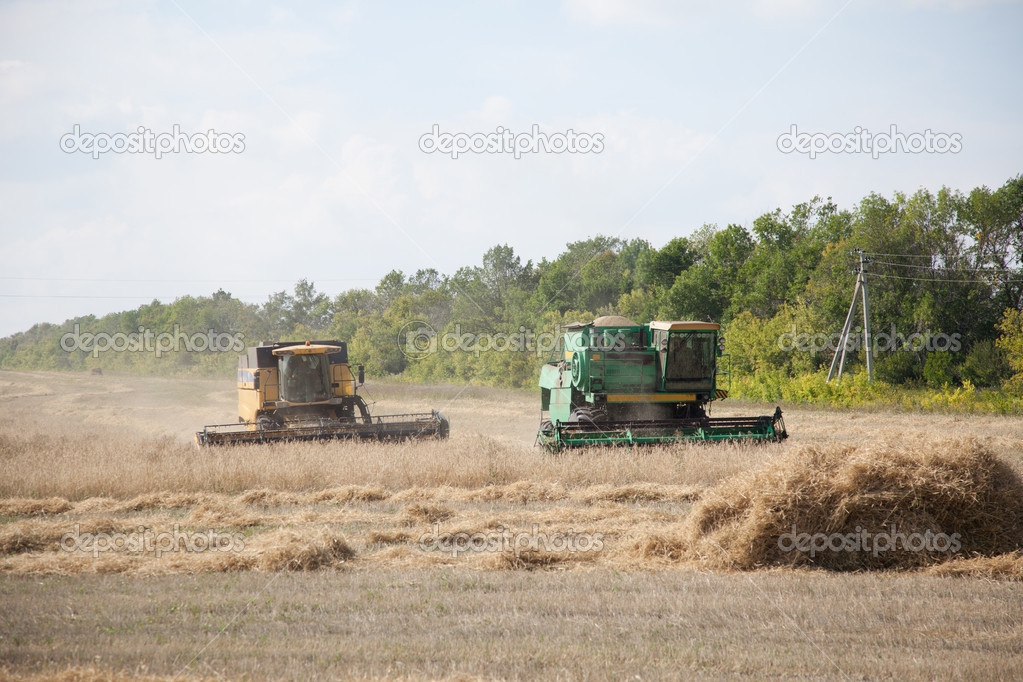 the combines to harvest on the field