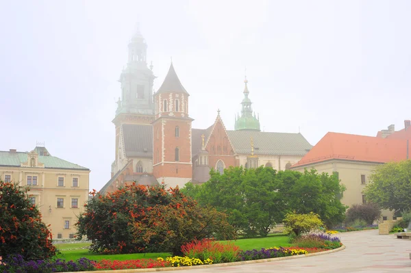 Wawel, katedrála — Stock fotografie