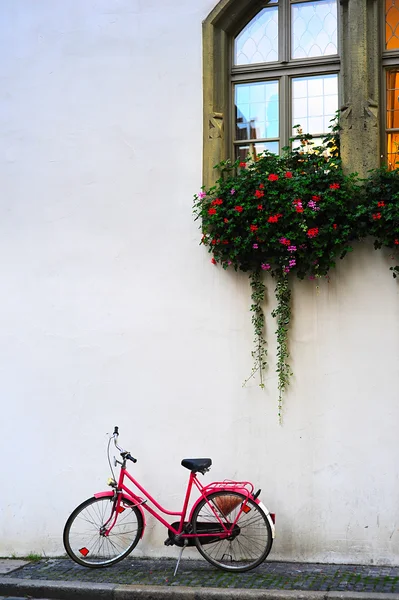 Bicicleta rosa —  Fotos de Stock