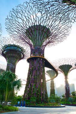 Gardens by the Bay clipart