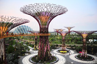 Gardens by the Bay at dusk clipart