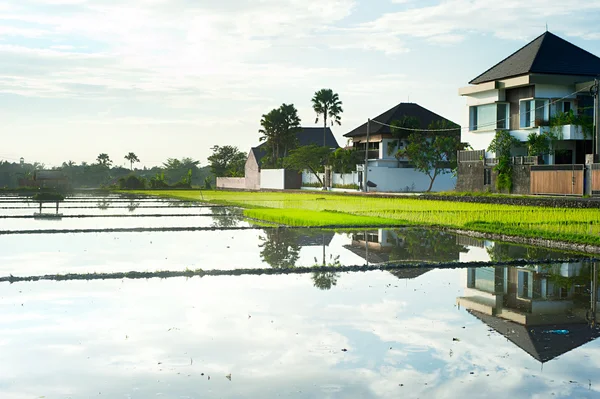 Bali viviendo — Foto de Stock