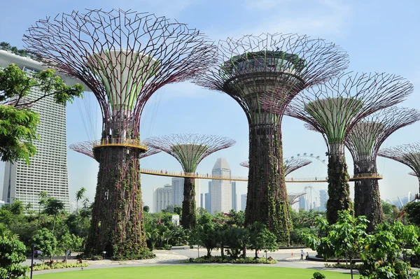 Jardins junto à Baía — Fotografia de Stock