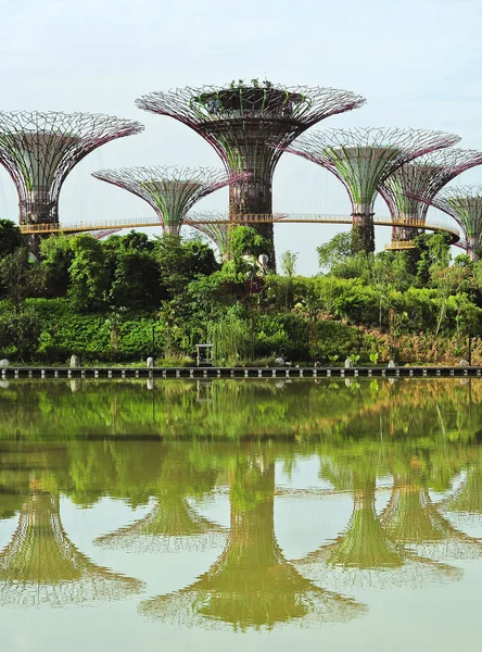 新加坡湾边的花园 — 图库照片