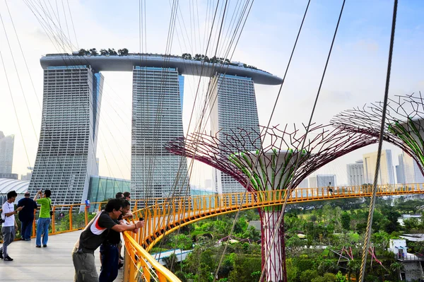 Sinapore koyunda bahçelerle — Stok fotoğraf