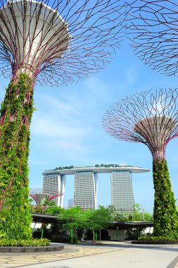 Gardens by the Bay in Singapore clipart