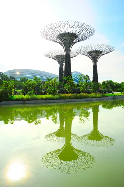 Jardines junto a la Bahía, Singapur — Foto de Stock