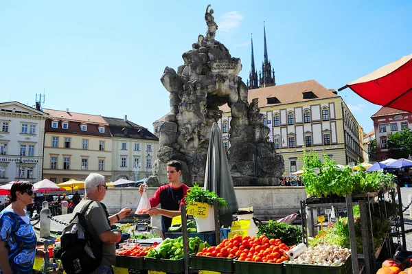 Mercado de alimentos. República Checa — Fotografia de Stock