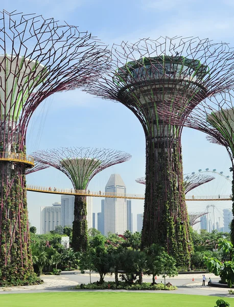 Gardens by the Bay — Stock Photo, Image