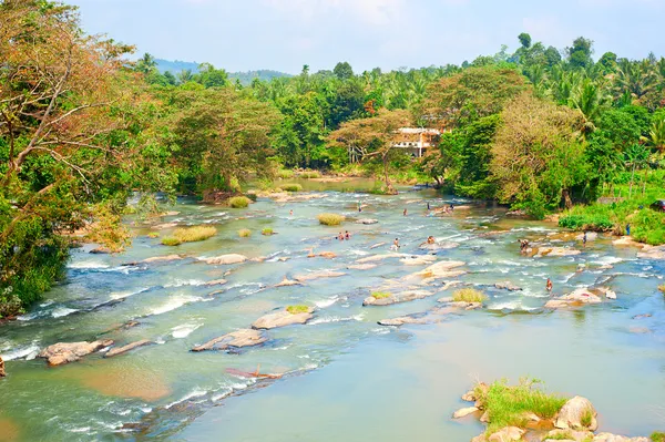 Srí Lanka-i hegyek folyó — Stock Fotó