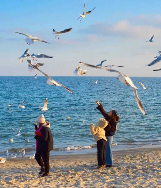 Odessa Ucraina Novembre 2020 Persone Che Nutrono Gli Uccelli Sulla — Foto Stock