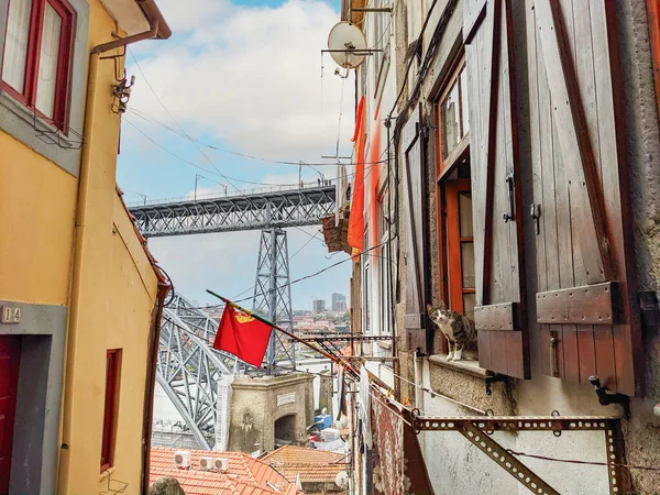 Kat Zittend Vensterbank Smalle Straat Van Porto Oude Stad Uitzicht — Stockfoto