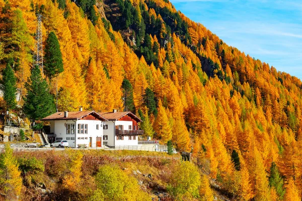 Scenic Alpen Landschap Met Herfst Gouden Bos Hotel Huizen Berghelling — Stockfoto